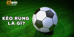 Điểm qua dấu hiệu nhận biết kèo rung là gì?